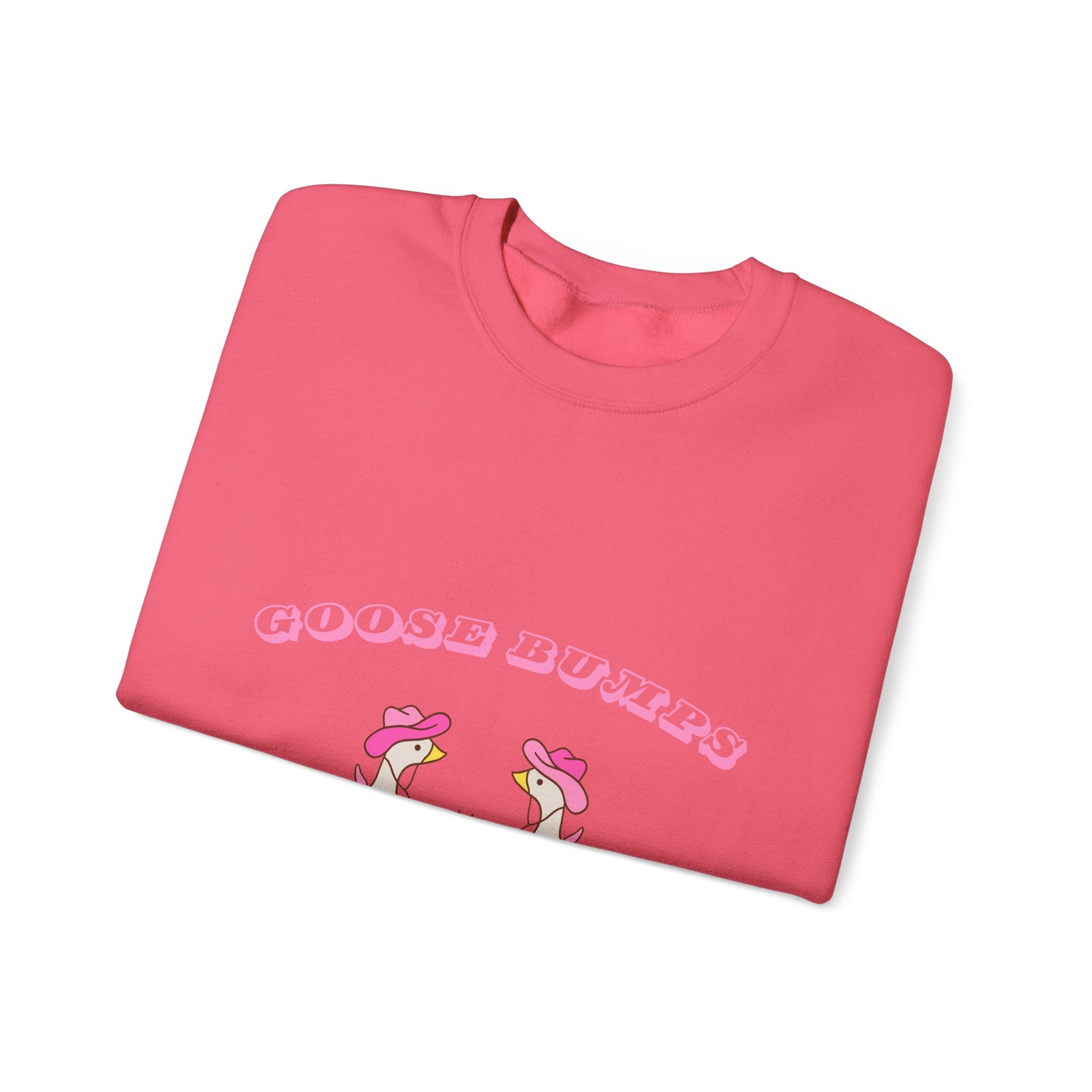 Goose Bumps sweat shirt