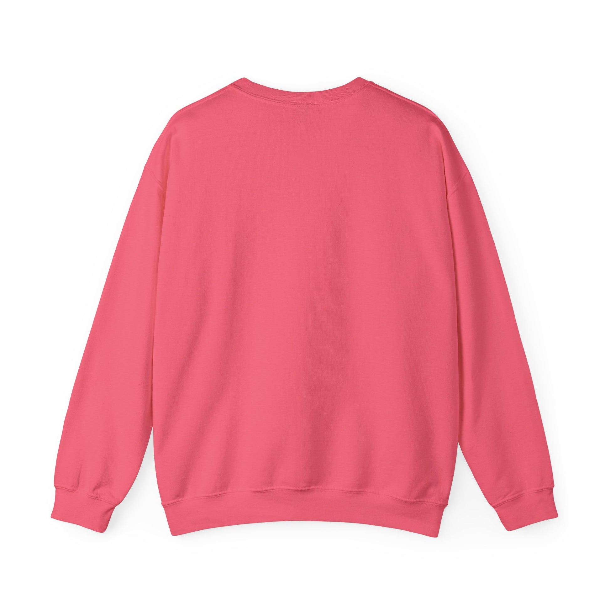 Goose Bumps sweat shirt